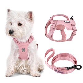 Onetigris Small Harness Dog Harness and Leash Set,Mini Trooper No Pull Dog Vest Fully Adjustable Harness for Puppy Dog and Cats, Dog Vest Harness for XXXS XXS XS Pets (Pink, XXXS)