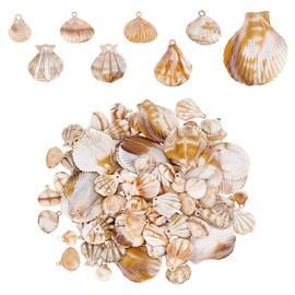 PH PandaHall 120pcs 8 Styles Shell Pendants, Acrylic Scallop Shells Clam Shell Charms Ocean Sea Shells Dangle Charms Beach Seashell Pendants with Hole for Earrings Bracelet Jewellery DIY Craft Making
