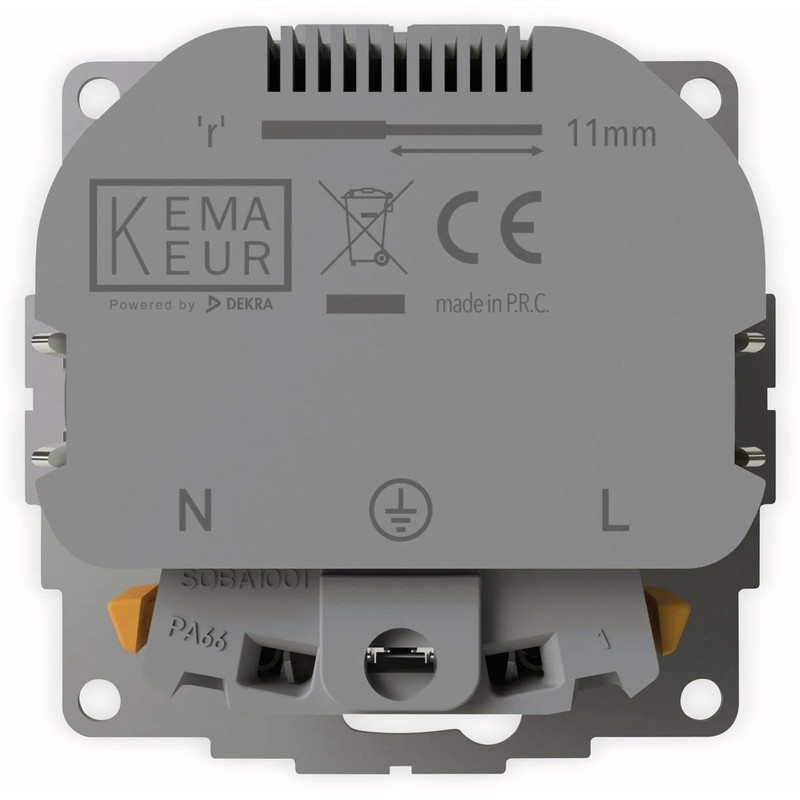 2USB Steckdose inCharge Pro55 reinwei matt