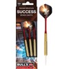 Bulls Success Steel Dart – Gold, 20 g