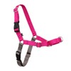 PetSafe Easy Walk Arnés Antitirones para Perro Frambuesa/Gris Talla M