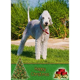 Bedlington Terrier Dog Christmas Card 'Happy Christmas' - Special Animal Xmas Card for Him Her from Pets Kids