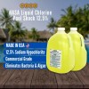 HASA Liquid Chlorine 12.5% Liquid Pool Shock | USA Made