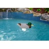 Poolmaster Adustable Chlorine Dispenser for Swimming Pools and Spas, Mallard