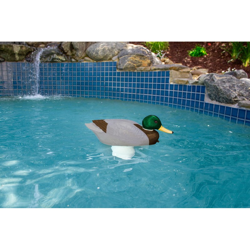 Poolmaster Adustable Chlorine Dispenser for Swimming Pools and Spas, Mallard