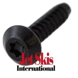 Sea-Doo Seadoo OEM SCREW-PLASTITE TORX CONE 250001007
