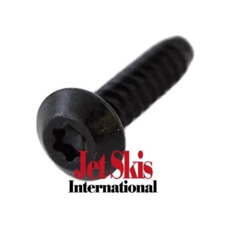 Sea-Doo Seadoo OEM SCREW-PLASTITE TORX CONE 250001007