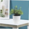 Levemolo 3pcs Automatic Watering Flower Pots Practical Self Watering Planter
