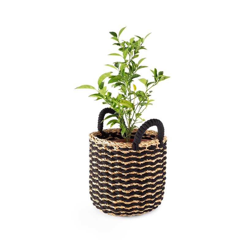 Compactor Flora Seagrass Storage Basket, Medium, 25 x Ø 25