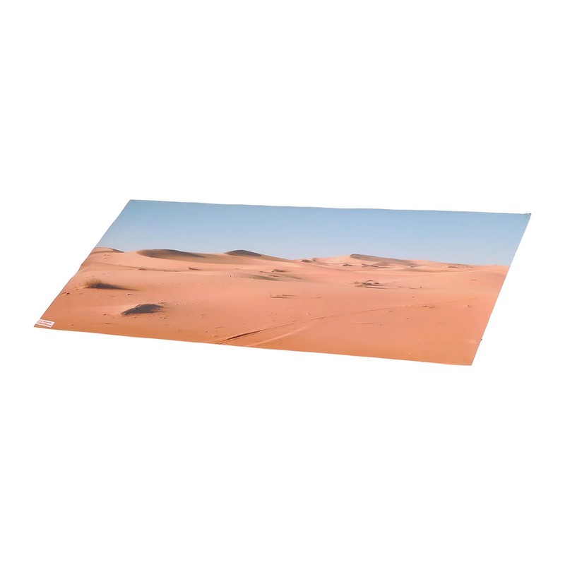 Aquarium Poster PVC Self Adhesive Waterproof 3D Desert Style Fish