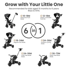 QPlay Baby Tricycle Ages 10 Months - 6 Years,6 in 1 Toddler Tricycle Stroller with Adjustable Parent Handle,Safety Harness & Wheel Brakes,Removable Canopy, Trike Bike Gifts for Boys & Girls (Black)