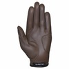 Ever-Bright Men's Golf Gloves OptiColor Premium Leather Golf Glove (Chocolate