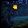 LABORATE LIGHTING, Halogen Light Bulbs, Decorative Light Bulbs, Cut Glass,