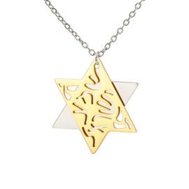 EUEAVAN Jewish Prayer Shema Yisrael Necklace for Women Two Tone Star of David Necklace Hear O Israel Pendant Judaica Sh'ma Yisrael Jewelry Hebrew Kabbalah Blessing Gift Men (A- Two Tone gold)