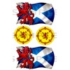 2 x Saltire with Rampant Lion 2 x round Rampant