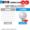 Asahi Electric Elpa (ELPA) LED Bulb, Ball Bulb, G95 (E26