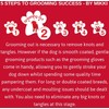 Mikki - 'all Tangled Up' Matt Splitter For Dogs &