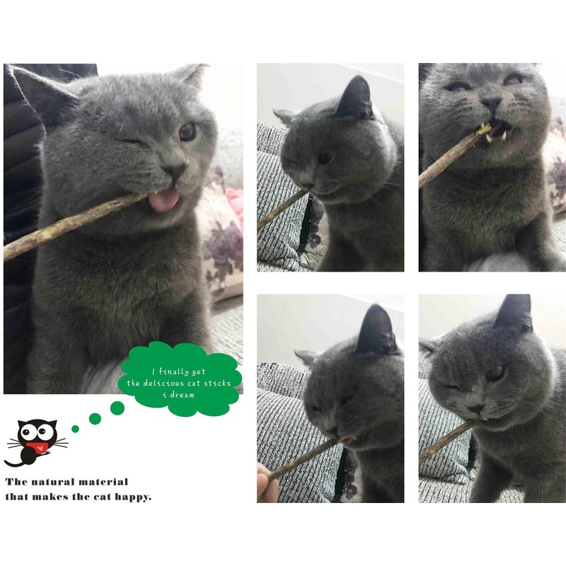 CXP Good Goods Silvervine Sticks Cat Toys,Natural Matatabi Catnip Chew