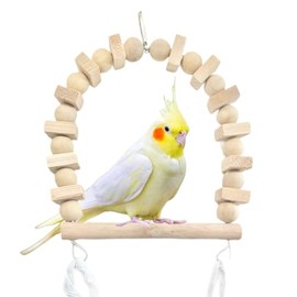 Parrot Swing, Natural Wood, Buddy Bird, Small Animal, With Bell, Cockatiel, Small Bird, Middle Bird, Outer Diameter 11.4 x 6.7 inches (29 x 17 cm), Inner Diameter: 4.9 x 4.7 inches (12.5 x 12 cm)