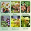 Omitgoter Carnivorous Plant Soil Mix 4qt, Pure Peat Moss and
