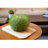 Kikkerland Green Orb Terracotta Planter-Home Accessory, Brown, One Size