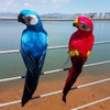 ZYWUOY Simulation Parrot, Artificial Fake Parrot Lifelike Feathered Bird Imitation