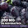 Resveratrol Antioxidante 180 Gomitas para Adulto Sin Azúcar Health Hack