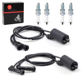 MOTO1988 Ignition Coil Pack & spark plug + Cap For HONDA Goldwing 1100 GL1100 1980 1981 Goldwing 1200 GL1200 1984 1985 1986 1987