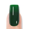 AILLSA Green Gel Nail Polish Dark Emerald Christmas Gel Polish