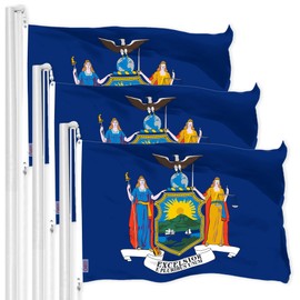 G128 3 Pack: New York NY State Flag | 3x5 Ft | LiteWeave Pro Series Printed 300D Polyester | Indoor/Outdoor, Vibrant Colors, Brass Grommets, Thicker and More Durable Than 100D 75D Polyester