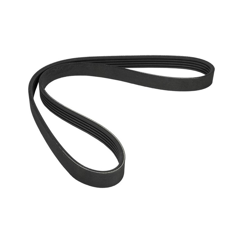 Contitech 5PK875 V-Ribbed Belt