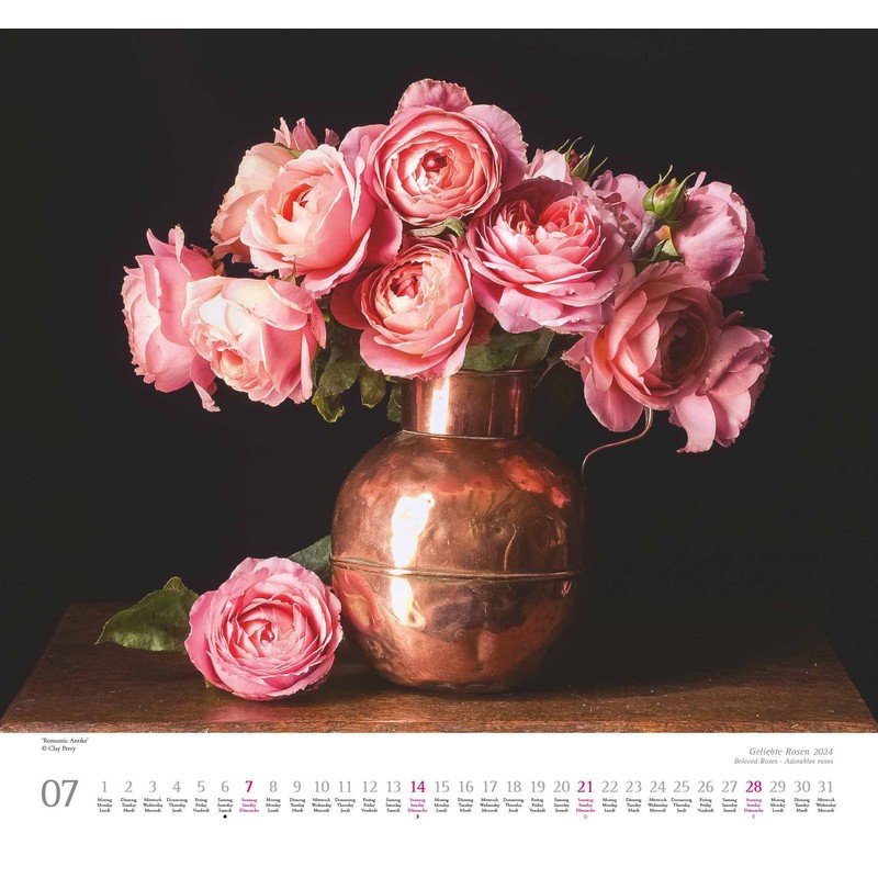 Kal. 2024 ...geliebte Rosen