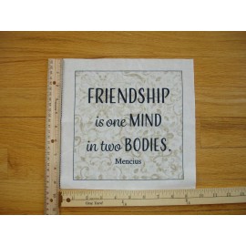 Timeless Treasures Inspirational Friendship Is One Mind In Two Bodies Cotton Quilt Fabric Block