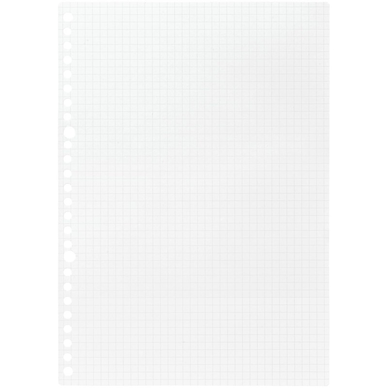 Maruman L1207HK Loose Leaf B5 Paper Packaging, Square Ruled, 0.2