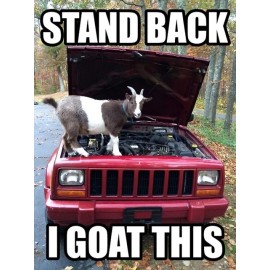 Goat  refrigerator magnet 2 1/2x 3 1/2"