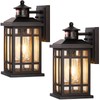 OPAXIS Porch Lights Outdoor with Motion Sensor, 2 Packs Oil