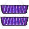 Grow Light for Indoor Plants - SERWING 200W LED Grow