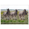 Namibia - Die Tierwelt (Wandkalender 2026 DIN A3 quer), CALVENDO