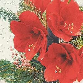 20 Napkins Red Amaryllis Flowers | Flowers | Winter | Christmas | Table Decoration | Decoupage | Napkin Technology 33 x 33 cm