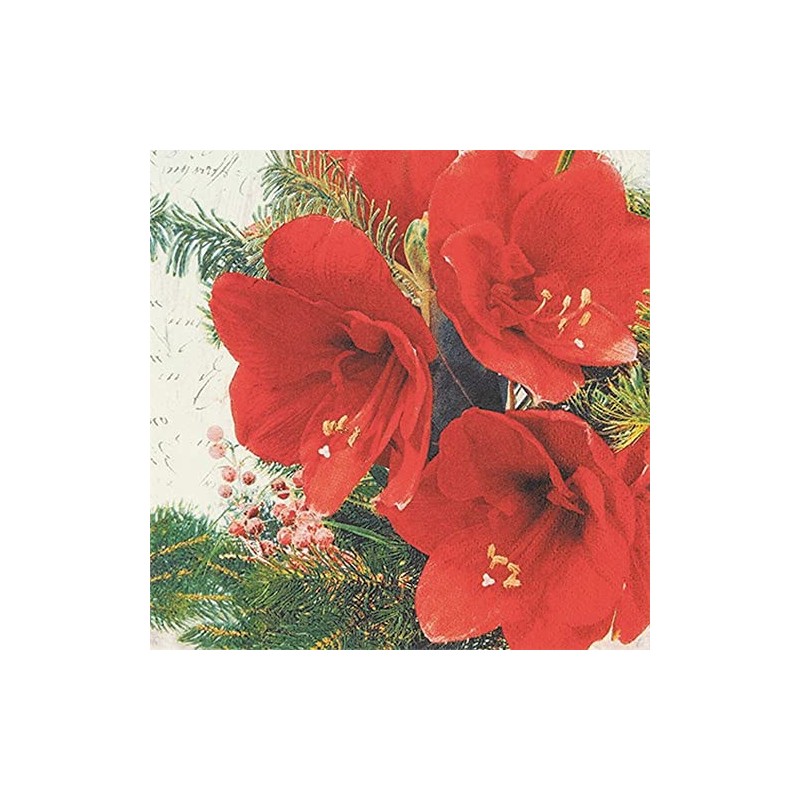 20 Napkins Red Amaryllis Flowers | Flowers | Winter |