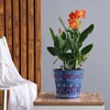 Madam Sophia Concept Handmade Ceramic Self-Watering Flower Pot 8-inch Unique