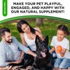 Probiotics for Dogs | Liquid Probiotics for Dogs | Prebiotic