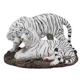 Ebros 10.25" Wide Embracing Albino Bengal White Tiger Couple Statue As Predator Forest Tigers Giant Cats Decorative Resin Collection Figurine Perfect for Shelves Desktops Decors