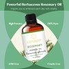 LOTUSJOY Rosemary Essential Oil - 30ml/1 Oz