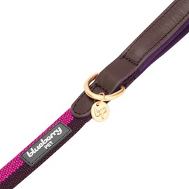Blueberry Pet Polyester Fabric Webbing and Soft Genuine Leather Dog Leash with Soft & Comfortable Handle, 4 ft x 1", Hot Pink & Purple, Leashes for Dogs