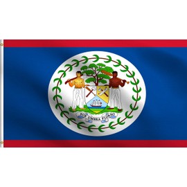 DMSE Belize Belizean Coat of Arms on a Blue Field Flag 3X5 Ft Foot 100% Polyester 100D Flag UV Resistant (3'X5' Ft Foot)