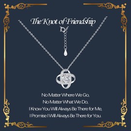 zocare Friendship Necklace,S925 Sterling Silver Friendship Gifts for Women,Romantic Love Knot Best Friends Gifts for Anniversary,Valentine's Day,Chrismas,Birthday for Bestie,BFF,Her