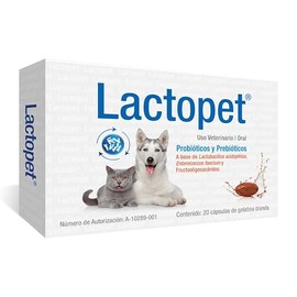 20 Cápsulas | Probióticos y Prebióticos para Perros y Gatos | Suplemento Digestivo y Refuerzo Inmunológico Paquete de 3