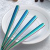 Berglander Rainbow Tablespoons of 6, Stainless Steel Titanium Shiny Colourful