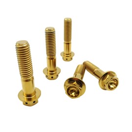 RISON Titanium Bolts M6 x 1.0 x 35 mm Titanium Flange Screws TC4 Titanium Screws Hex Screw Golden GR5 Titanium Bolts Pack of 5